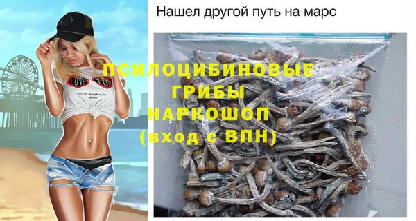 твердый Алексин