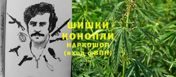 твердый Алексин