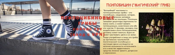 твердый Алексин