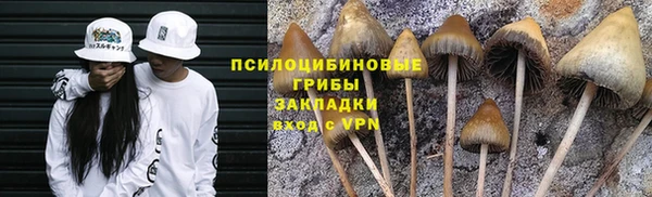 твердый Алексин